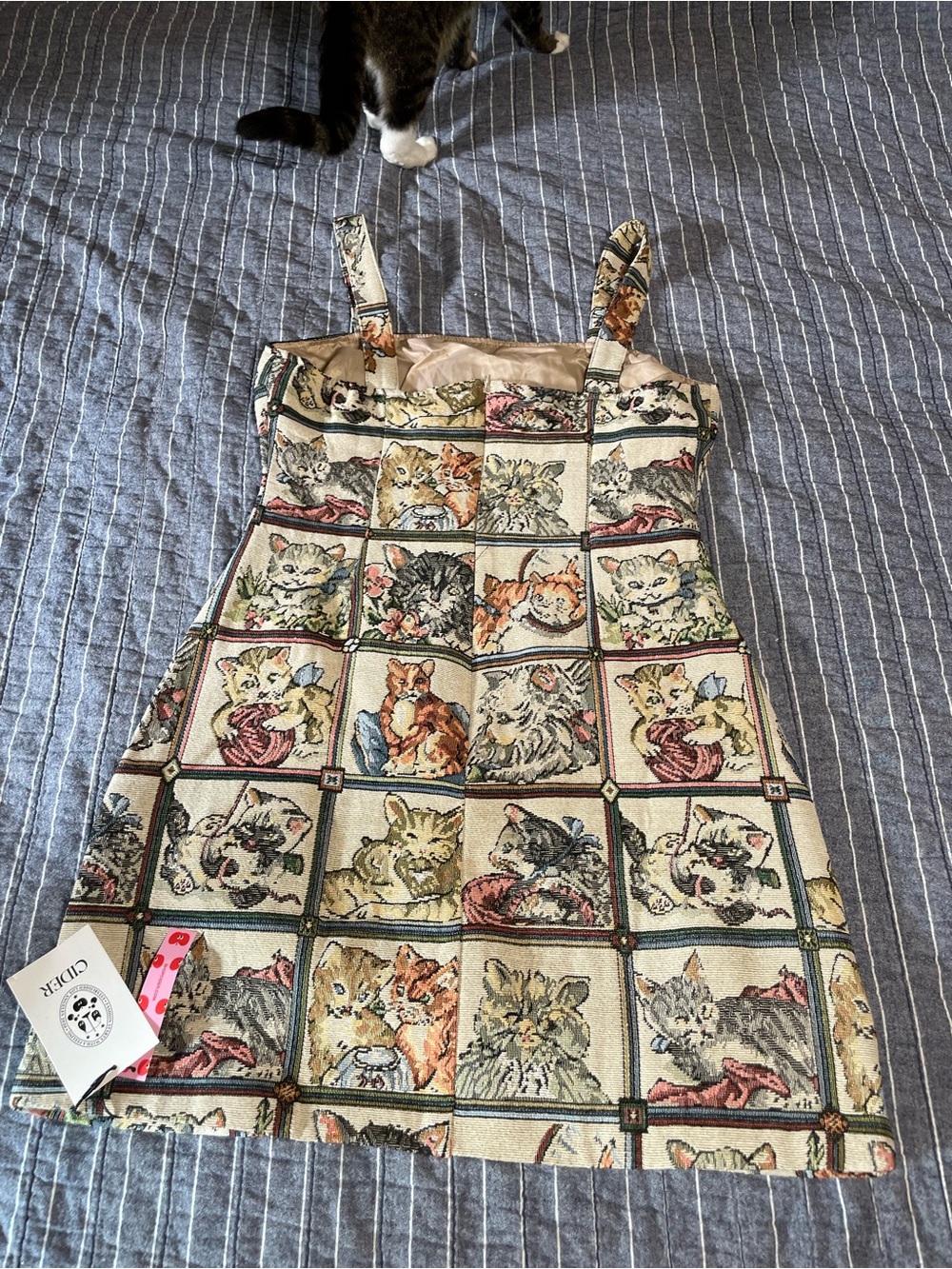 Cider Cream Sleeveless Mini Dress with Multicolor Cat Quilt Print NWT - Picture 5 of 10